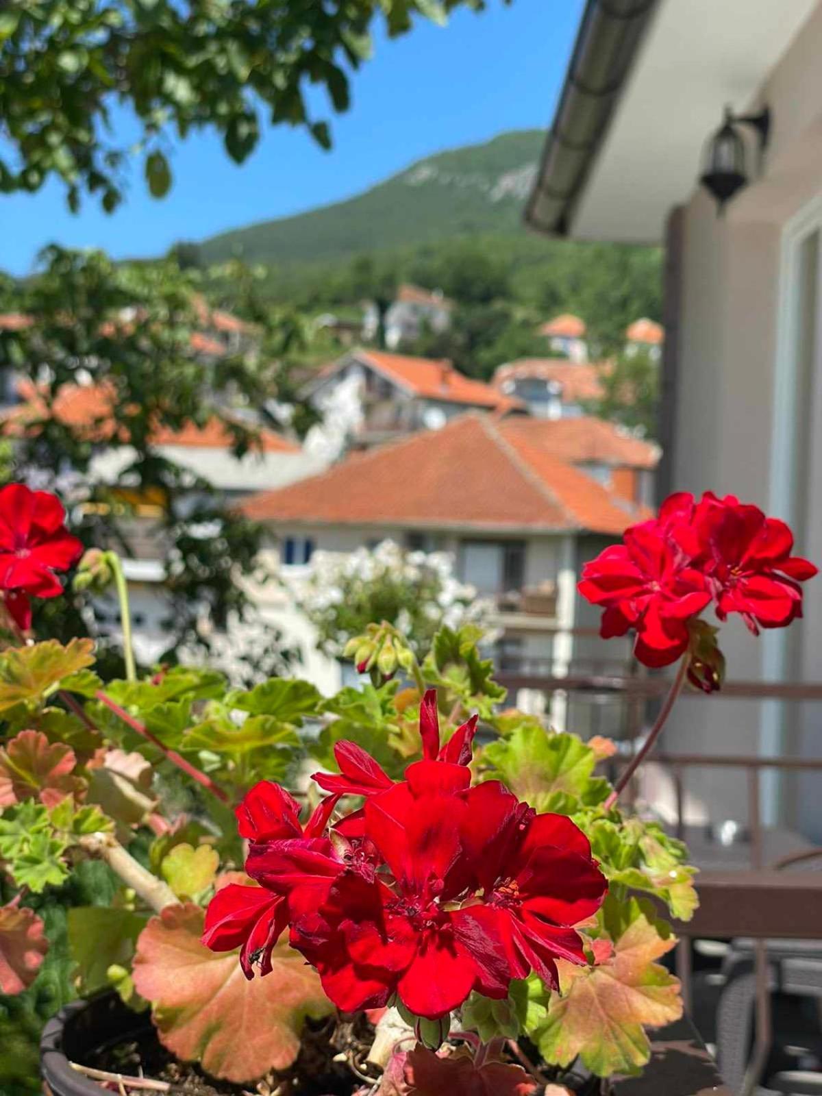 Gopo Guesthouse Elshani Экстерьер фото