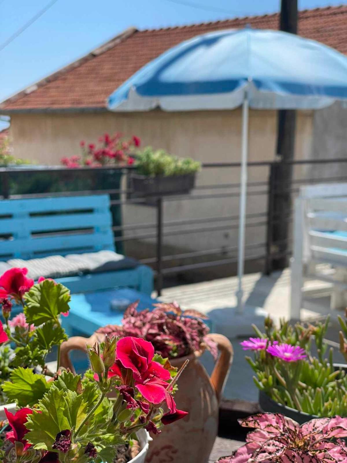 Gopo Guesthouse Elshani Экстерьер фото